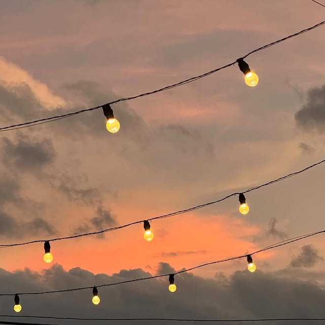 Post by shereen_willis