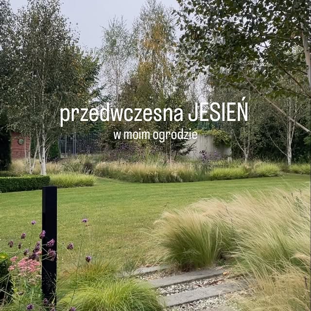 Post by gardenroom.kp