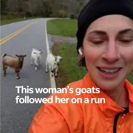 Post by humankindvideos