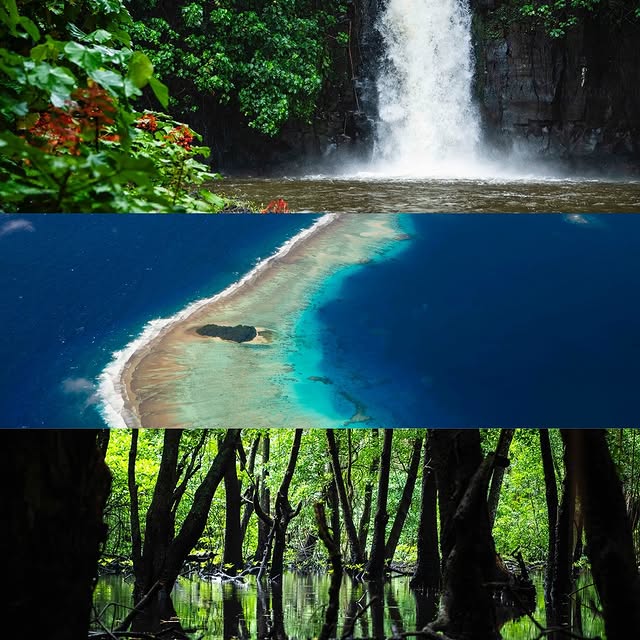 Post by wildkirinphotography