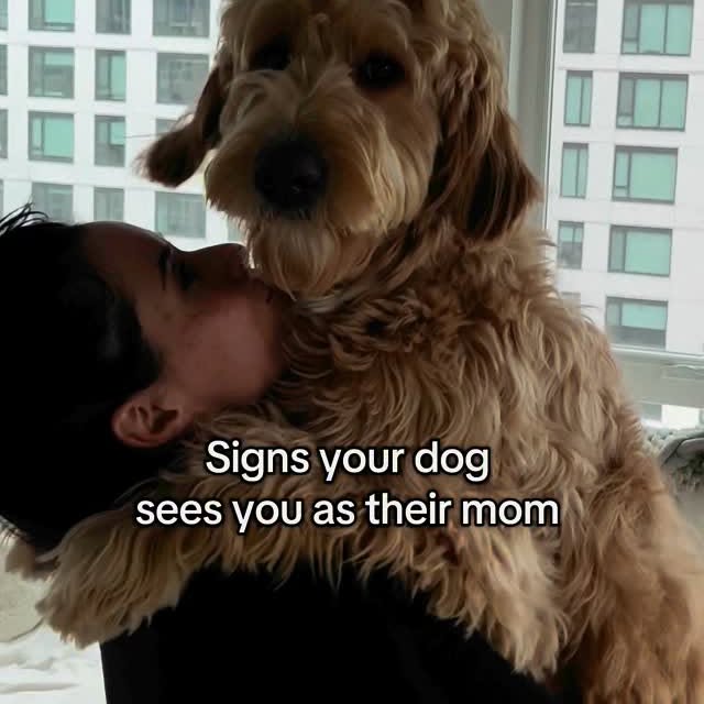 Post by vitothedogfather