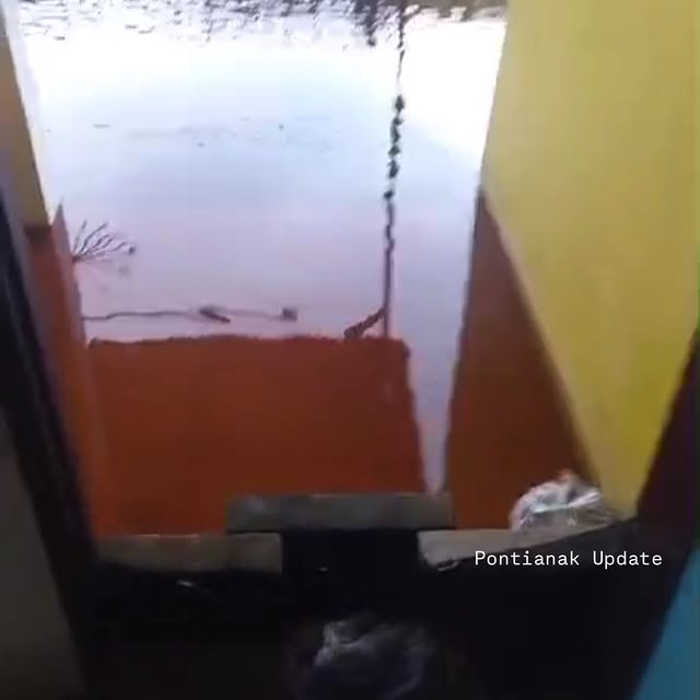 Post by pontianak_update