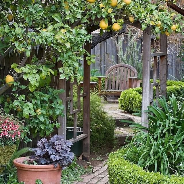 Post by thegardeningspirit