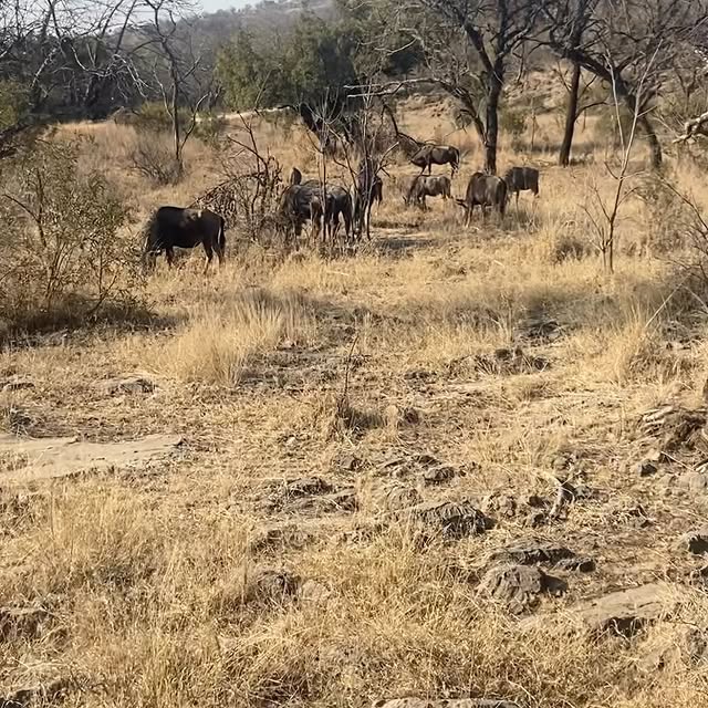 Post by mademoisellesam