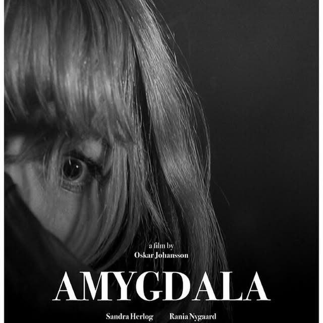 Post by horrorhausfilmfest