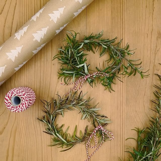 Post by ferrymorseseed