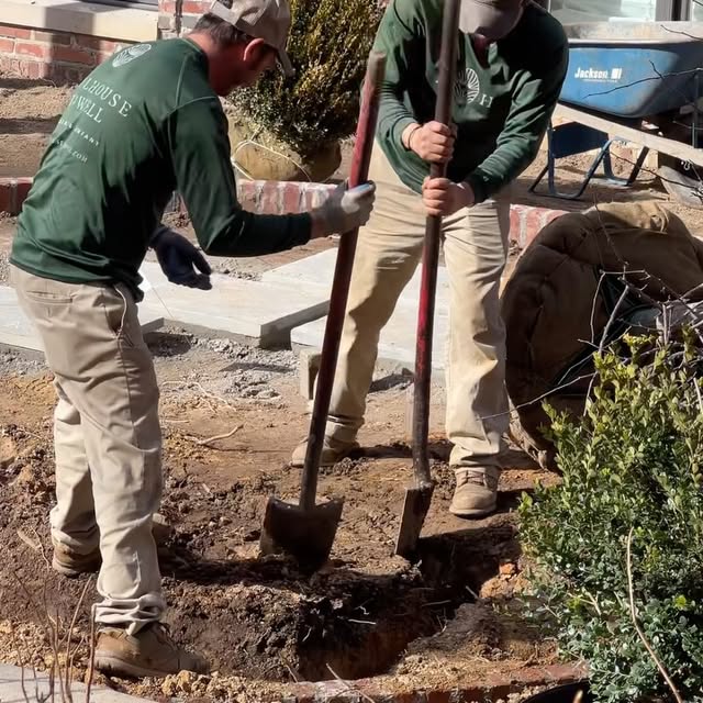 Post by millhousehowell_landscape.co