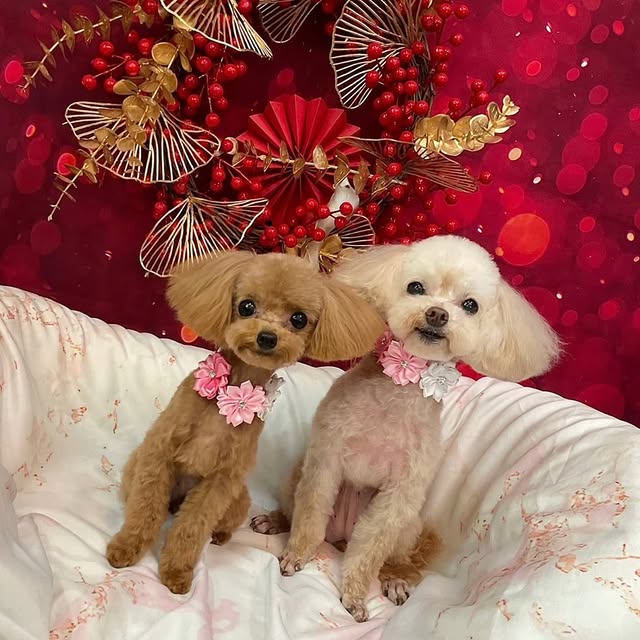 Post by natsukiikeda624