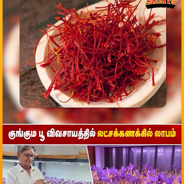 Post by business.tamizha