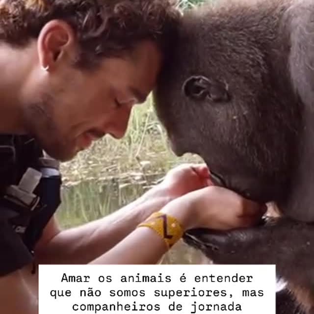 Post by desafiomeioambiente