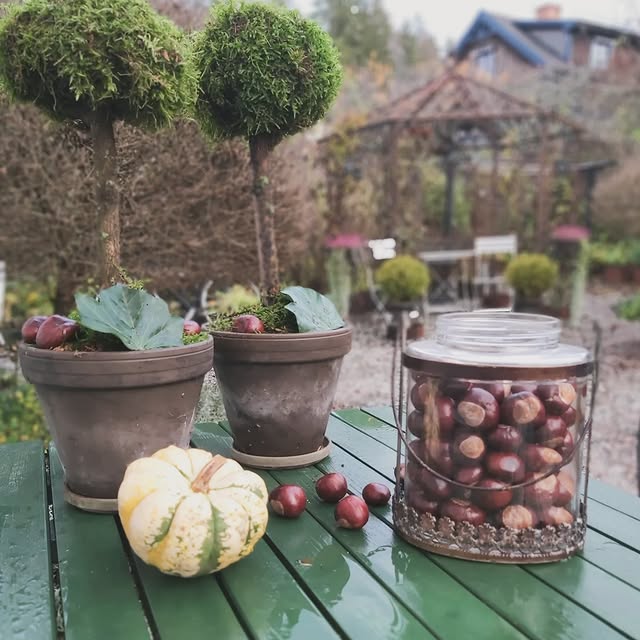 Post by sofiehills_tradgard