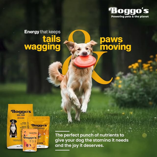 Post by boggos.petfood