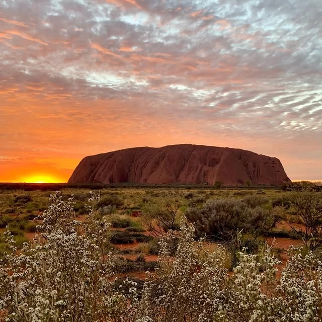 Post by visitcentralaus