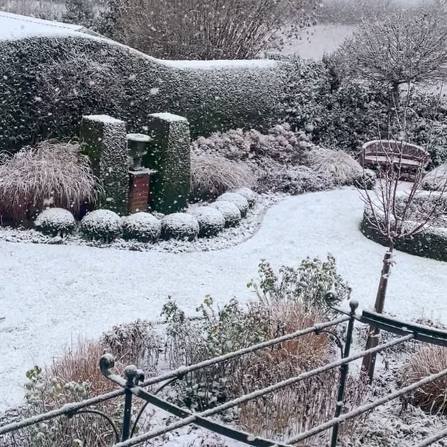 Post by katrinsgarten