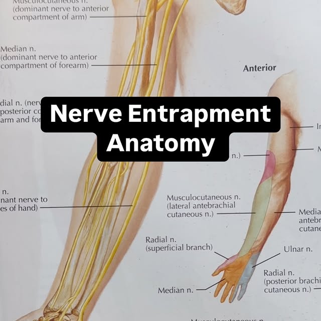 Post by medicalmassagesd