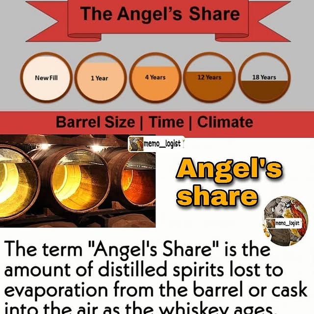 Post by memo__logist