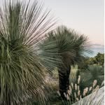 Grant James Boyle's profile picture