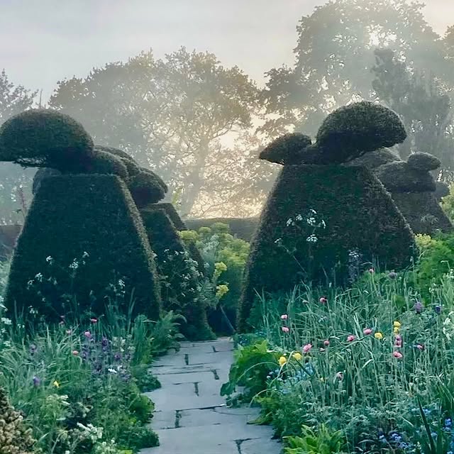 Post by hedge.garden.design.nursery