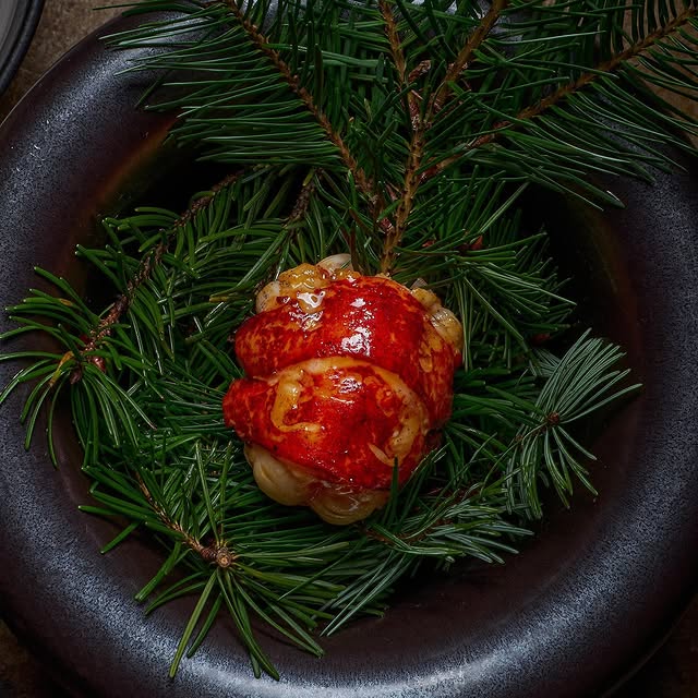 Post by david_toutain