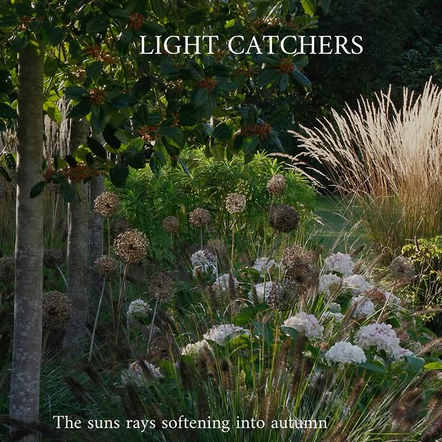 Post by greencube_design