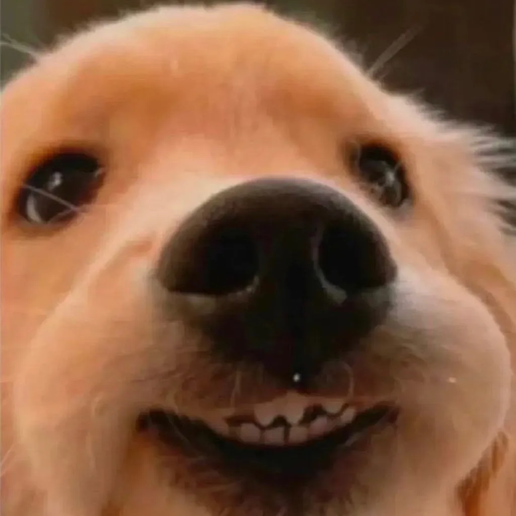 나이스아메리카노's profile picture