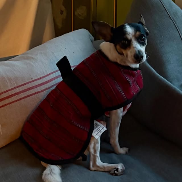 Post by callie.deedee