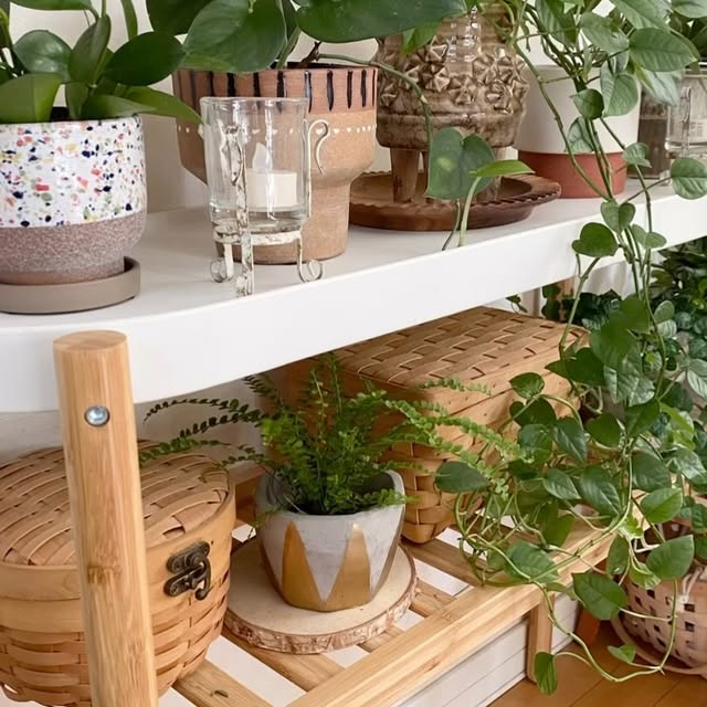 Post by time_with_liberty