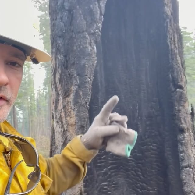 Post by thejosephpowell