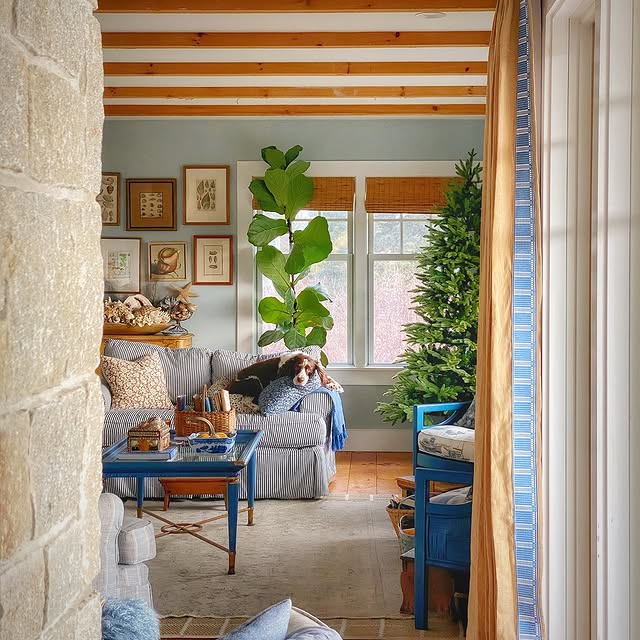 Post by mollyinmaine