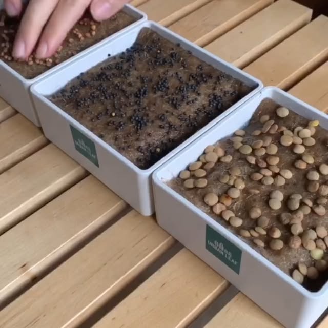 Post by geturbanleaf