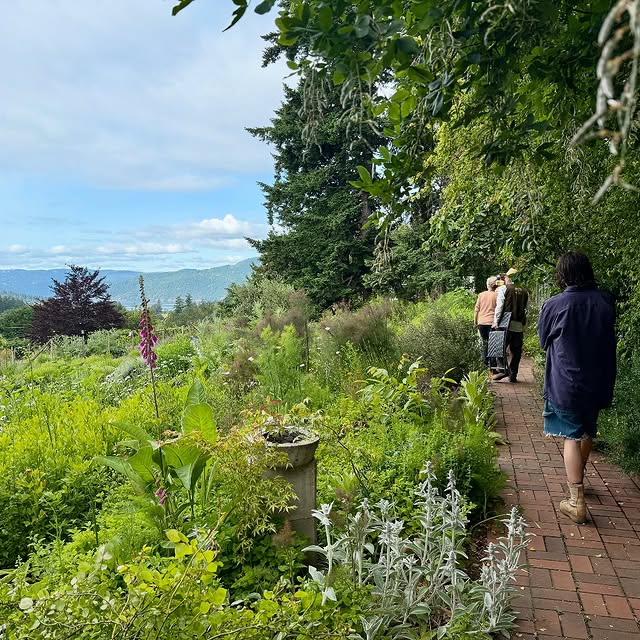 Post by visionary_permaculture