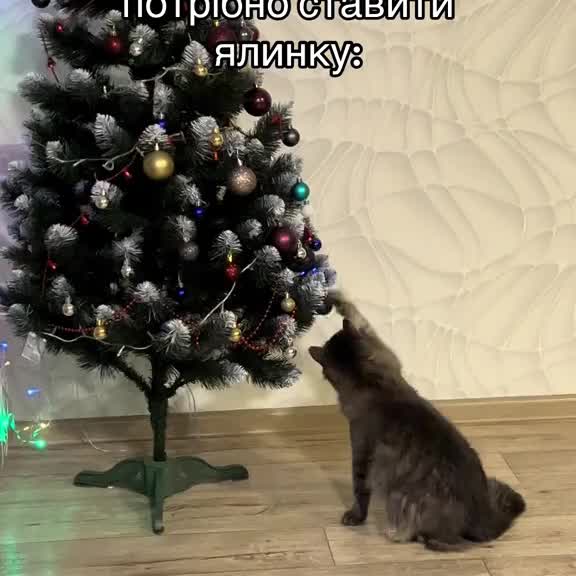 Post by animals_humor_ua