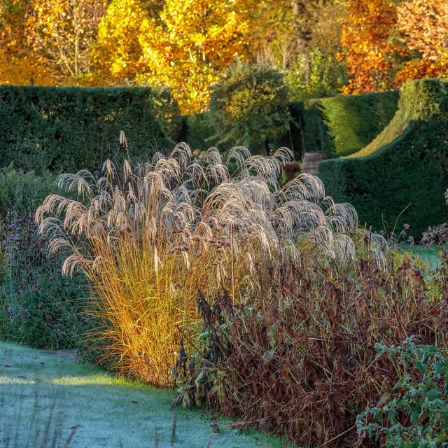 Post by jeremy.n.allen