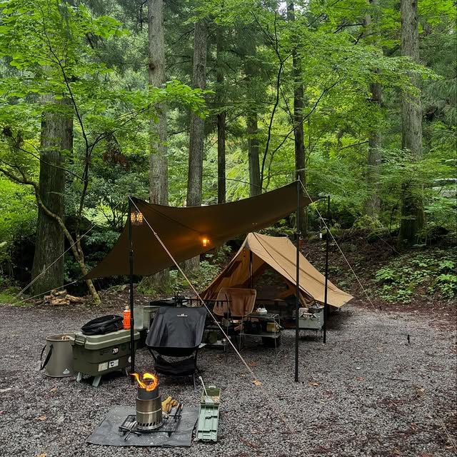 Post by pomolyofficial