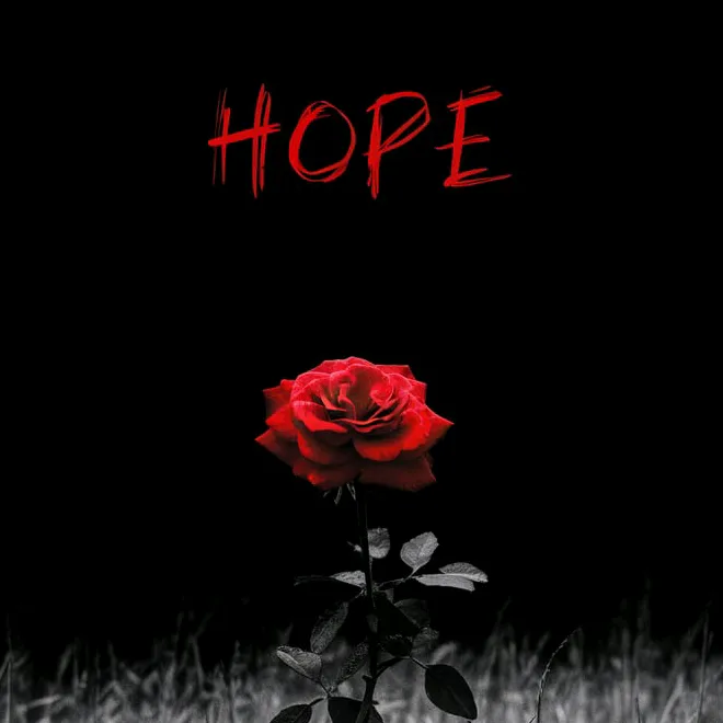 TechTrend's profile picture