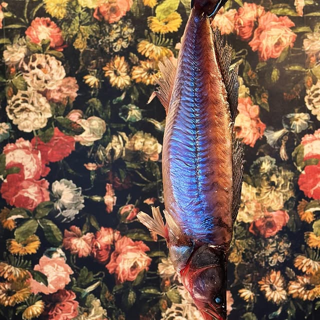 Post by rosalys_rest_bar