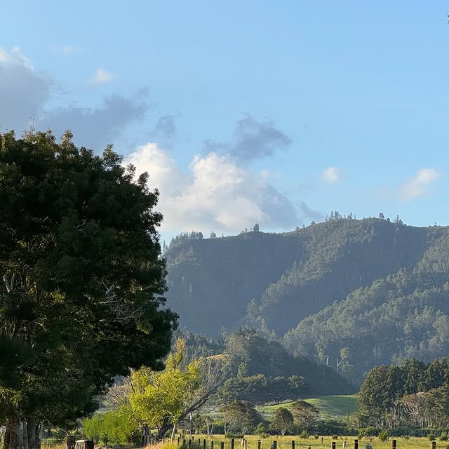 Post by lydiavioleta_