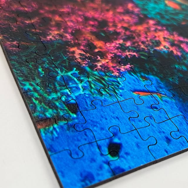 Post by katejonkerphotography