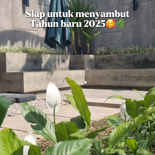 Post by tumpugreenery