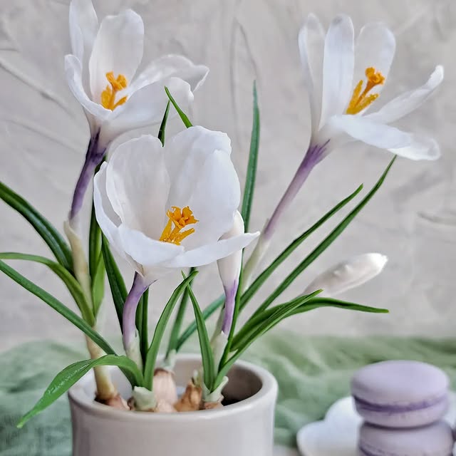 Post by artflower_by_anna