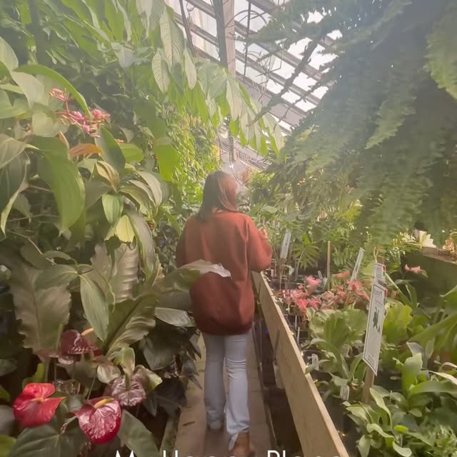 Post by kellylynn.plants