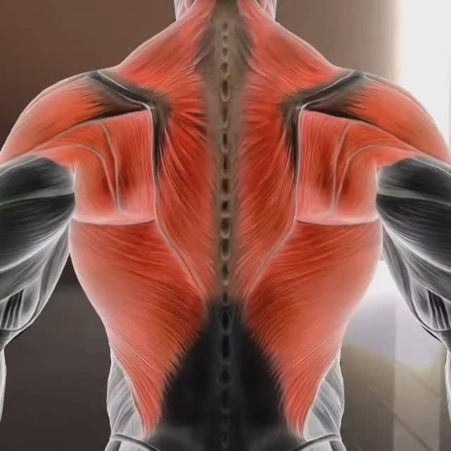 Post by gym_fitness.point01