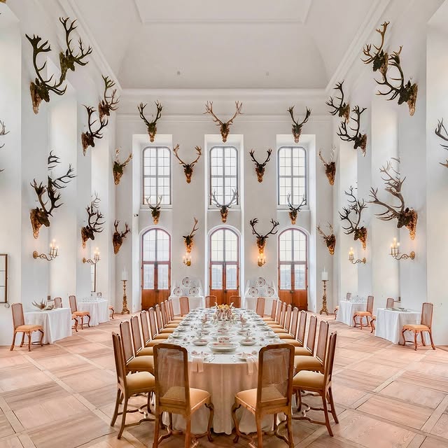 Post by accidentallywesanderson