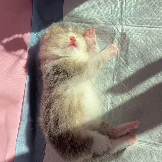 Post by landyliu0610