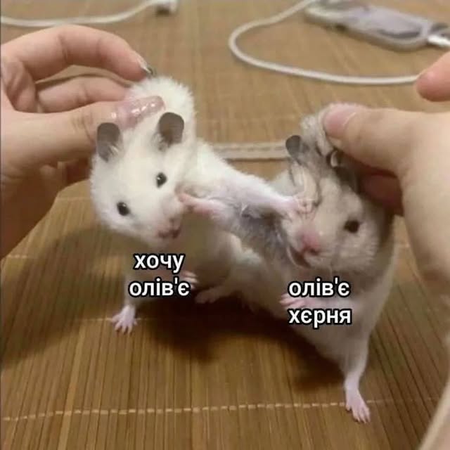 Post by fresh_humor_ua