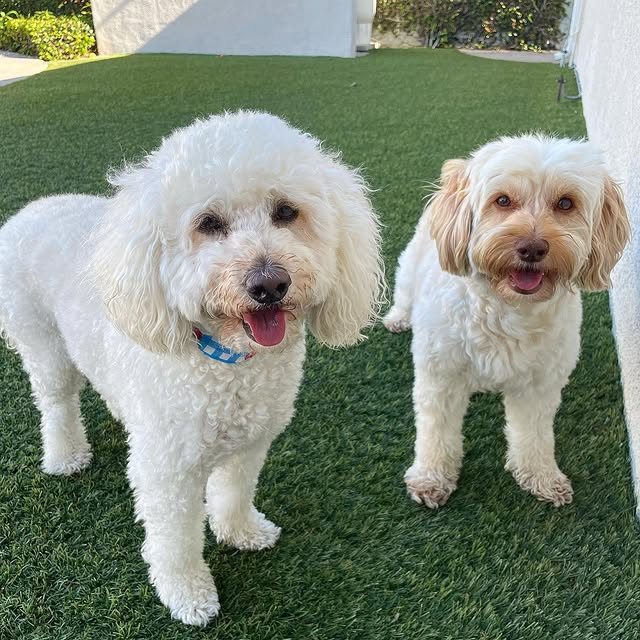 Post by jimmystuart_