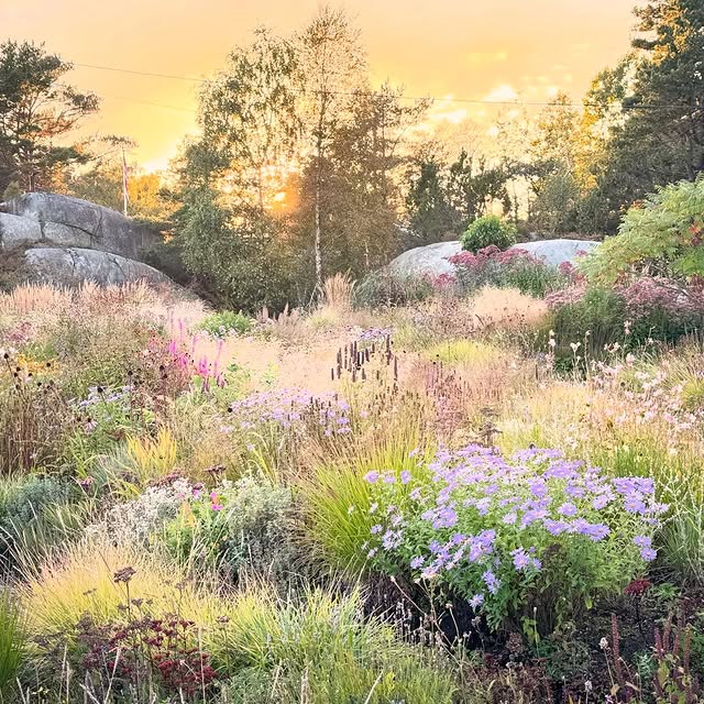 Post by vill_hageglede