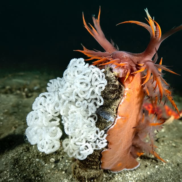 Post by underwaterpat