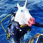 HUN . Oceanlife Underwaterphotography's profile picture