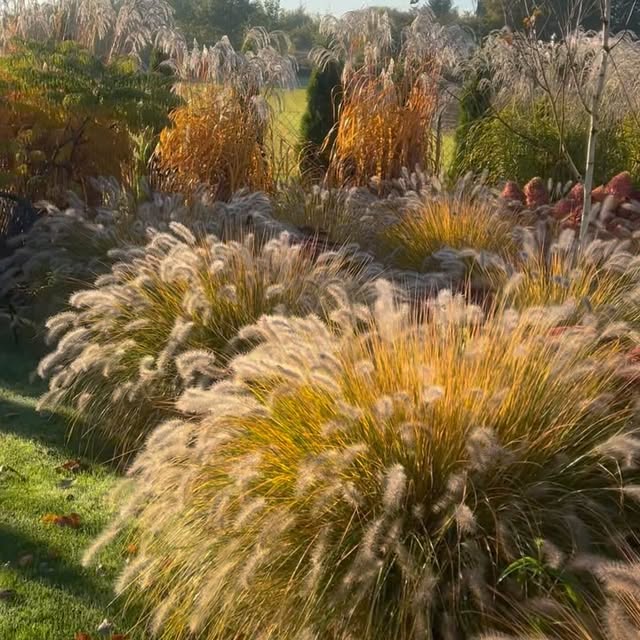 Post by szczypiorkatarzyna